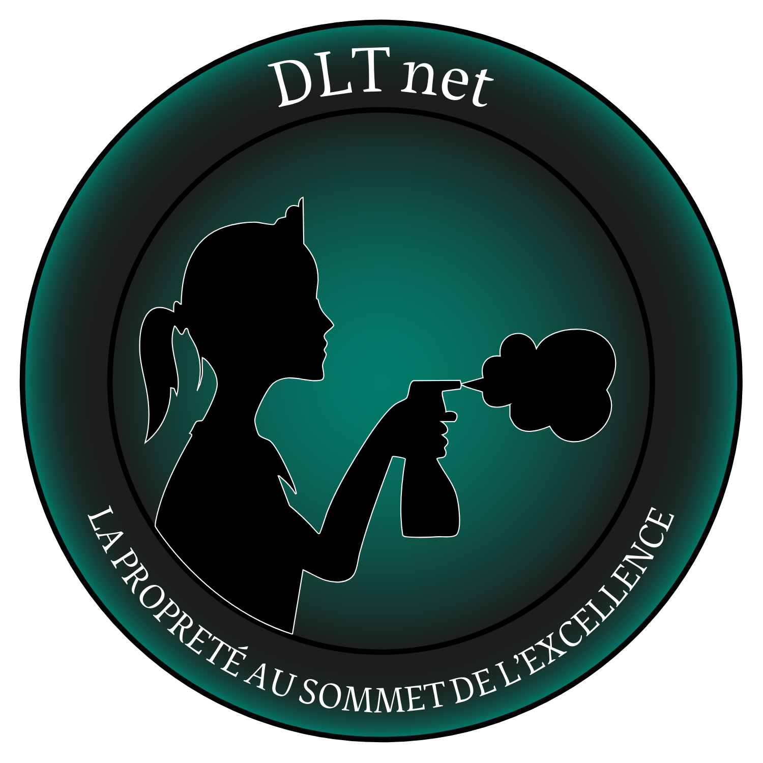 Logo de l'entreprise DLT net