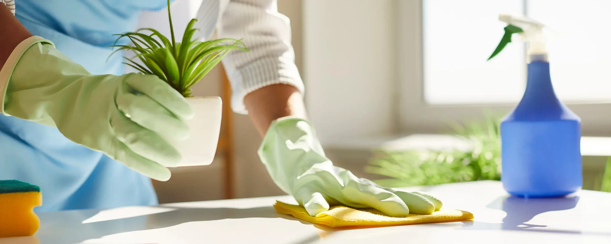 PErsonne portant des gants de ménage nettoyant une table avec un spray et un chiffon